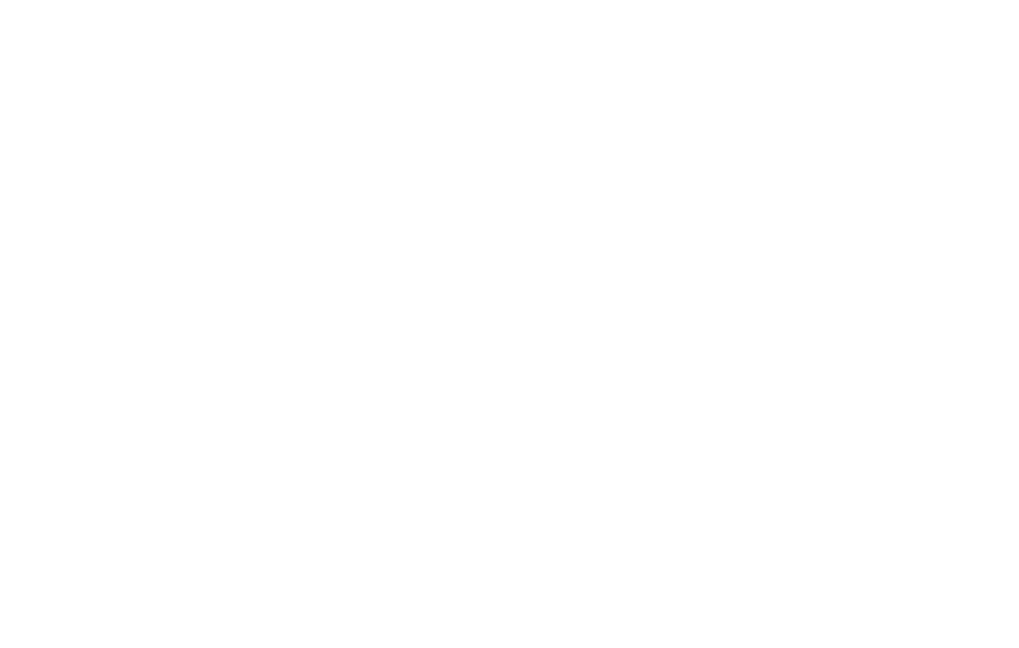 Cas Safe